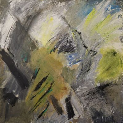 Naher Himmel - weite Erde | Flugspuren eines Mauerseglers